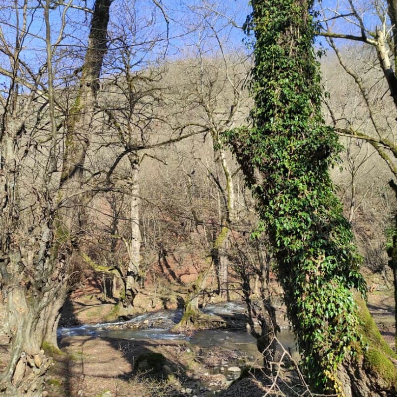 روستای نصفی شهرستان رودبار، نصفی گیلان، نصفی رستم آباد، آلش دشت، تپه ی مارلیک، جام مارلیک، مارلیک رستم آباد